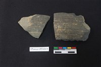 藏品(陶片)的圖片