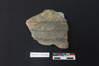 藏品(陶片)的圖片