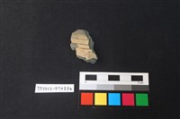 藏品(陶片)的圖片