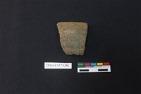 藏品(陶片)的圖片