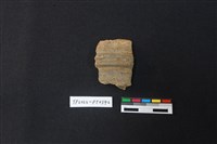 藏品(陶片)的圖片