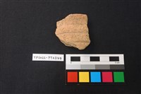 藏品(陶片)的圖片