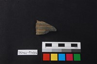 藏品(陶片)的圖片