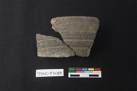 藏品(陶片)的圖片