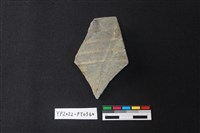 藏品(陶片)的圖片