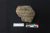 藏品(陶片)的圖片