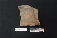 藏品(陶片)的圖片