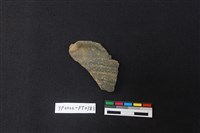 藏品(陶片)的圖片