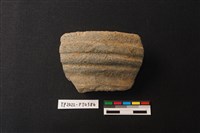 藏品(陶片)的圖片