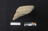 藏品(陶片)的圖片