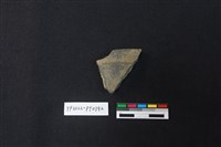 藏品(陶片)的圖片