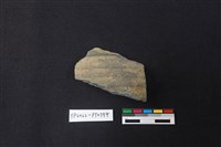 藏品(陶片)的圖片