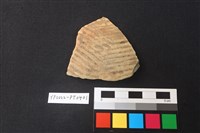 藏品(陶片)的圖片