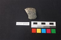 藏品(陶片)的圖片