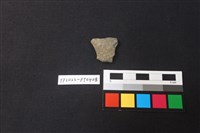 藏品(陶片)的圖片