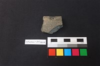 藏品(陶片)的圖片