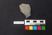 藏品(陶片)的圖片