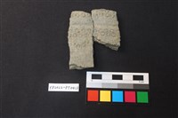 藏品(陶片)的圖片