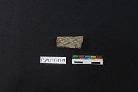 藏品(陶片)的圖片