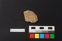 藏品(陶片)的圖片