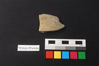 藏品(陶片)的圖片