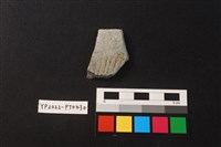 藏品(陶片)的圖片