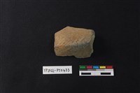 藏品(陶片)的圖片