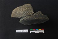 藏品(陶片)的圖片