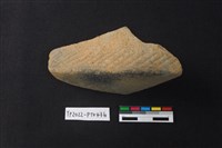 藏品(陶片)的圖片