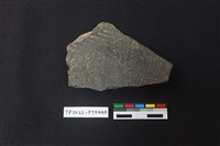 藏品(陶片)的圖片