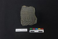 藏品(陶片)的圖片