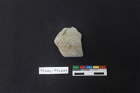 藏品(陶片)的圖片