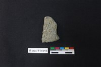 藏品(陶片)的圖片