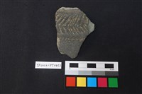 藏品(陶片)的圖片