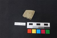 藏品(陶片)的圖片