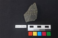 藏品(陶片)的圖片