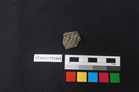 藏品(陶片)的圖片