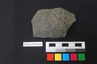 藏品(陶片)的圖片