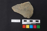 藏品(陶片)的圖片