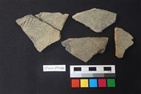 藏品(陶片)的圖片