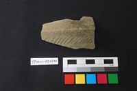 藏品(陶片)的圖片