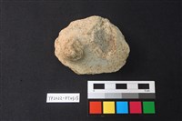 藏品(陶片)的圖片