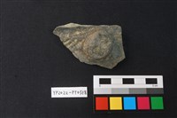 藏品(陶片)的圖片