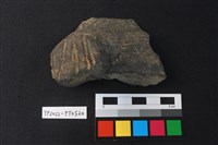 藏品(陶片)的圖片