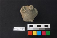 藏品(陶片)的圖片