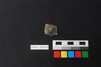 藏品(陶片)的圖片