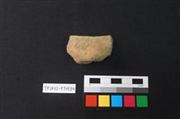 藏品(陶片)的圖片