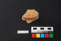 藏品(陶片)的圖片