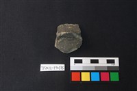 藏品(陶片)的圖片