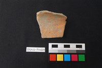 藏品(陶片)的圖片